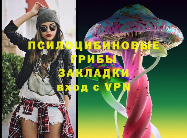 крисы Алексеевка
